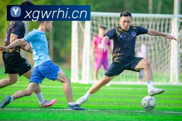 星空体育在线官网入口服务体系